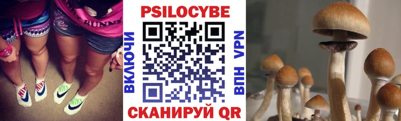Галлюциногенные грибы MAGIC MUSHROOMS Электроугли