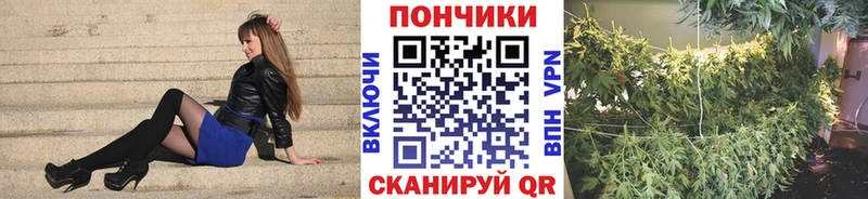 Бошки марихуана AK-47  Электроугли 